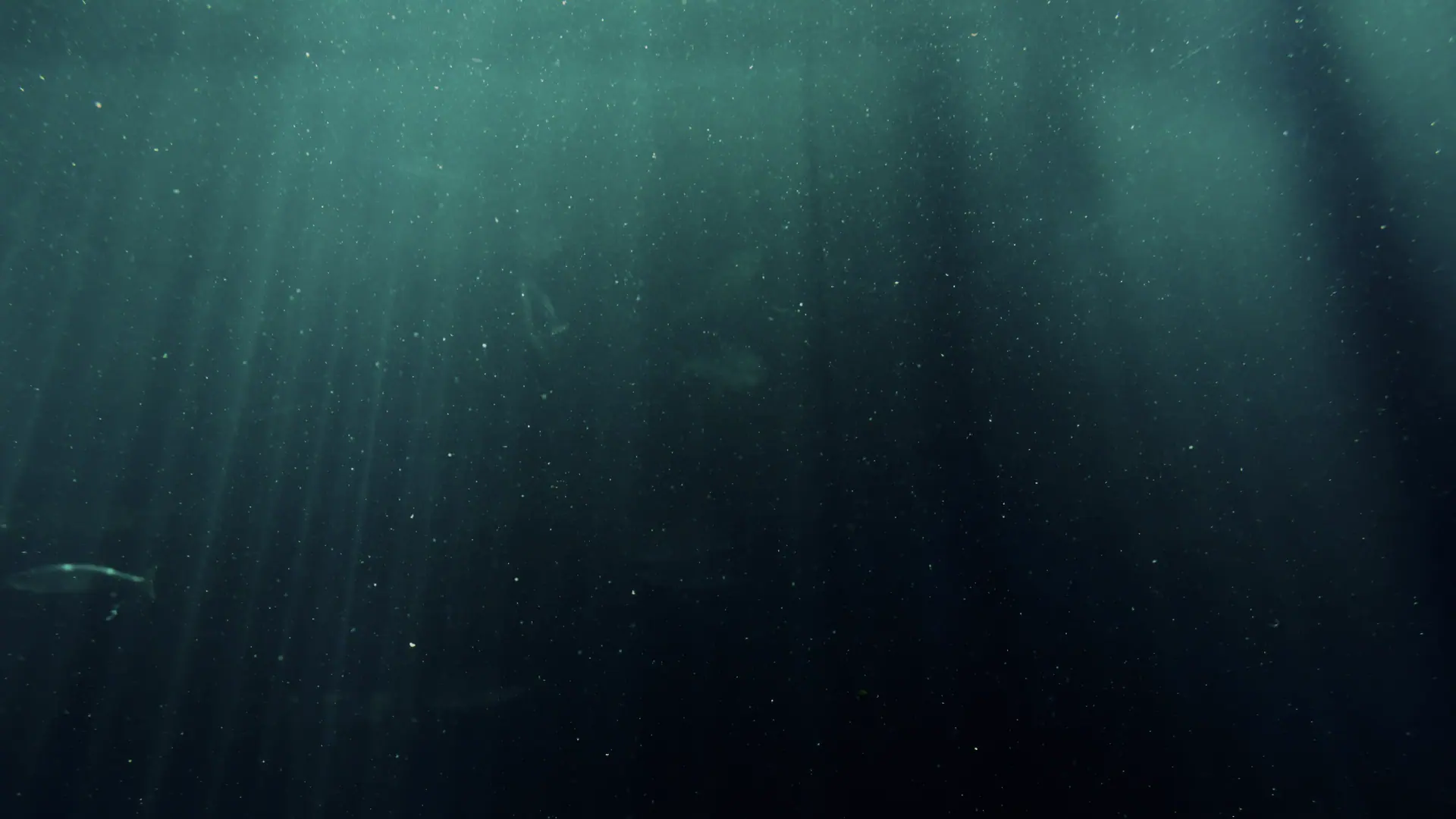 Underwater photograph of deep blue sea light.